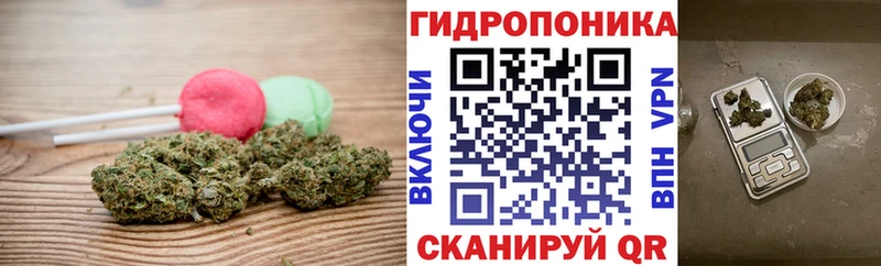 Canna-Cookies марихуана Андреаполь