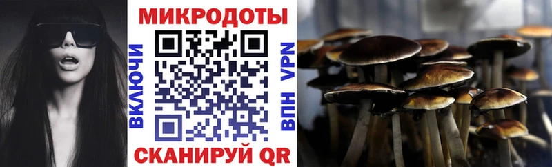 закладки  Андреаполь  darknet состав  Галлюциногенные грибы мухоморы 