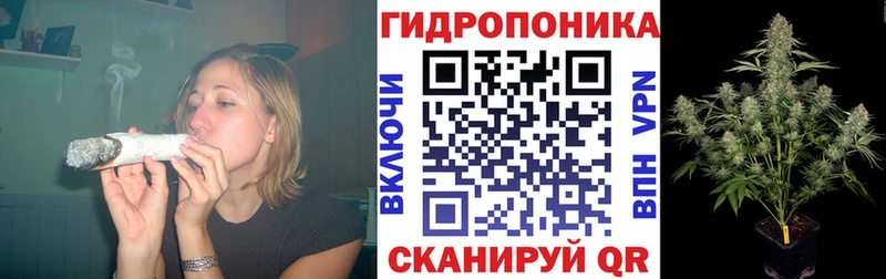 ОМГ ОМГ сайт  Андреаполь  Марихуана Amnesia 